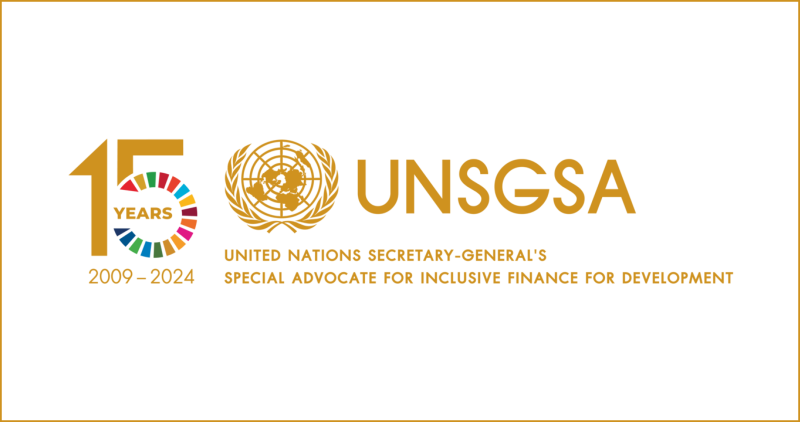 Logo UNSGSA 15 years